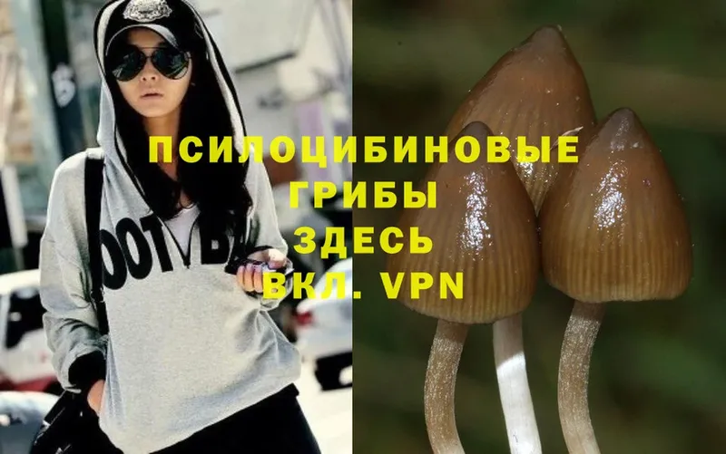 Псилоцибиновые грибы Magic Shrooms  цены   Суоярви 